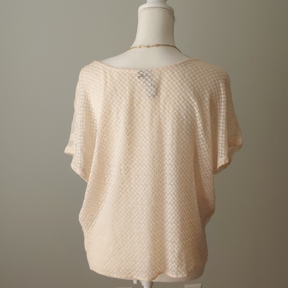 Embroidered Pure Silk Sheer Top - Picture 3 of 11